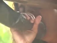 Warmhearted shlong loving tramp shows off her cock engulfing skills on a massive horse here